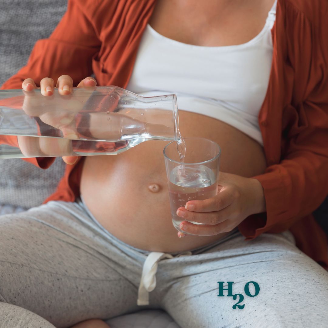 how much water consume while pregnant